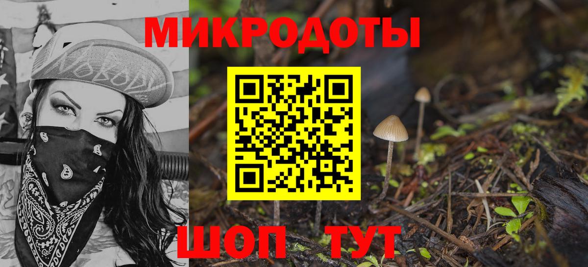 Галлюциногенные грибы Psilocybine cubensis Среднеуральск