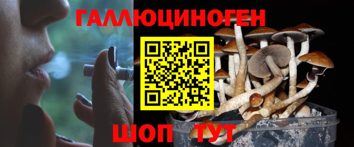 Среднеуральск  Галлюциногенные грибы ЛСД  Вход с VPN 